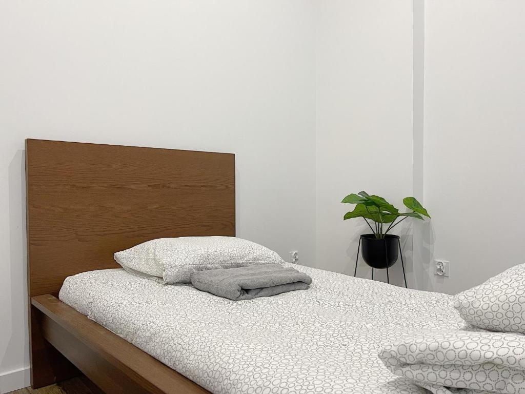 Polonia Art Apartments In The City Center 카토비체 외부 사진